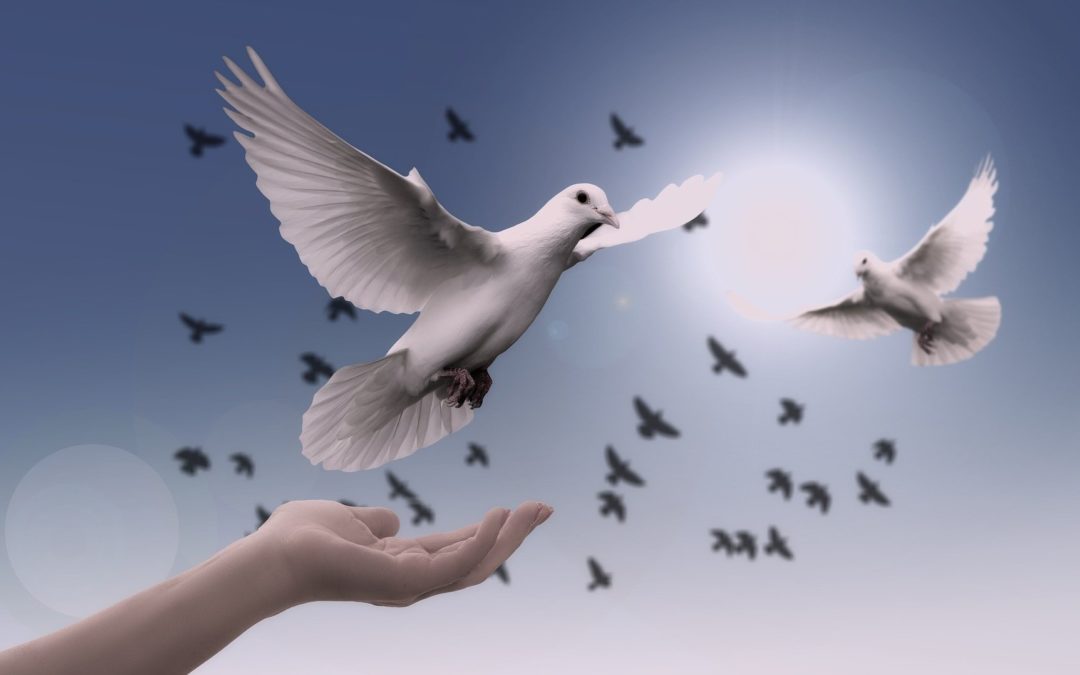 Gobernador de Nariño insiste en la desarticulación de los GAO para garantizar la seguridad de los nariñenses