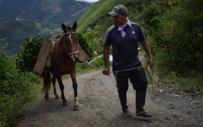 Llega ‘Mi Nariño es Café’ la campaña que despertará tus sentidos