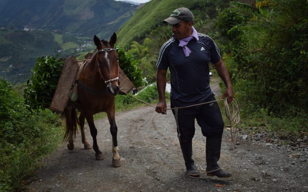 Llega ‘Mi Nariño es Café’ la campaña que despertará tus sentidos