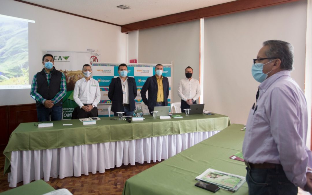 Gobierno Nacional, Departamental y productores buscan soluciones a la enfermedad ‘punta morada’ de la papa en Nariño