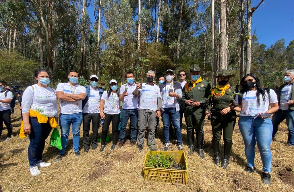 310.000 árboles fueron sembrados en el departamento de Nariño, en la Gran Sembratón Nacional