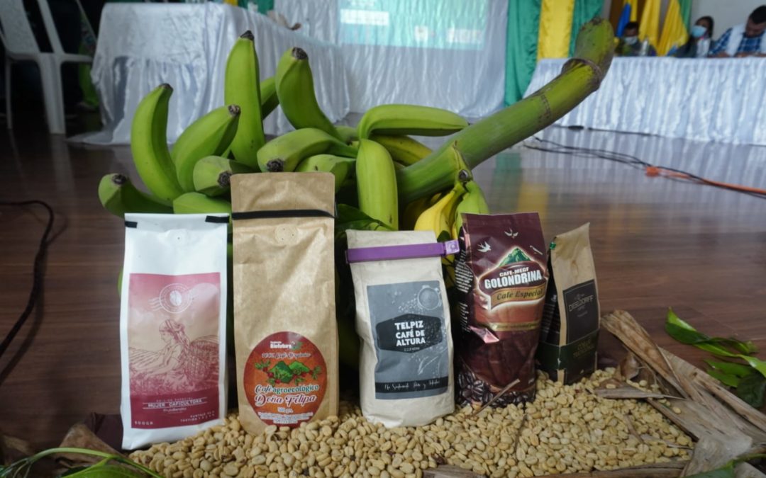 Proyecto por $2.335 millones fortalecerá a 200 productores de café y plátano en Los Andes y El Peñol