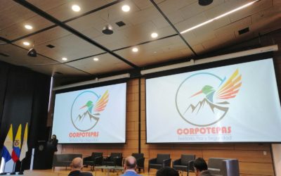 Nariño tiene una apuesta directa a la paz a través de acciones institucionales