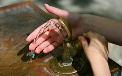 Emprendimiento digital convertirá niebla en agua potable
