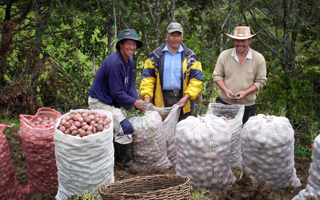 Alivios financieros para los pequeños y medianos productores nariñenses