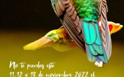 XIX festival de aves del piedemonte costero de Nariño – Pajareando por las aves y las culturas