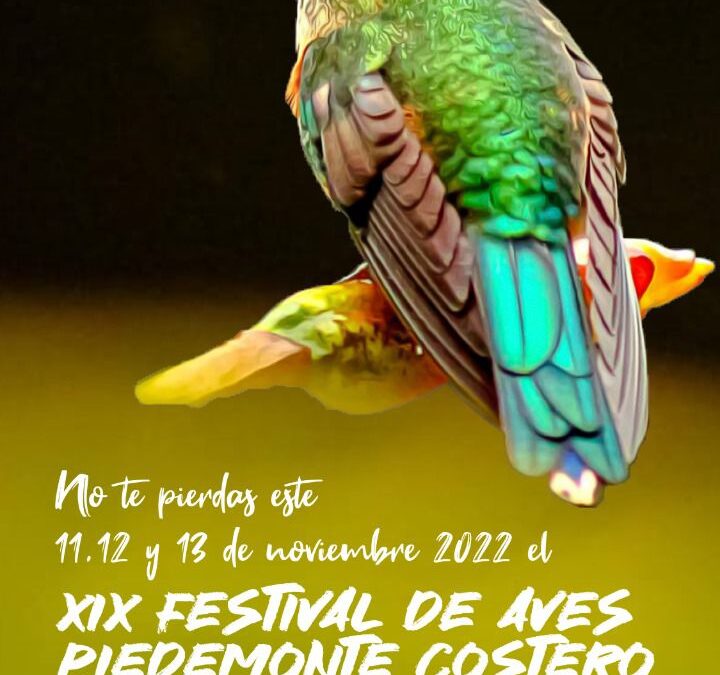 XIX festival de aves del piedemonte costero de Nariño – Pajareando por las aves y las culturas