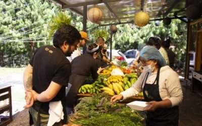 El 10 de noviembre empieza el ‘Festivales de sabores Mi Nariño’
