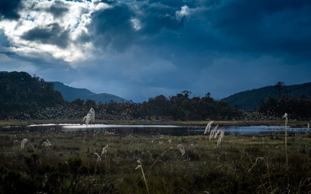 Casa de la Cultura de Nariño presenta exposición  fotográfica Gemas Líquidas – Las Tres Lagunas