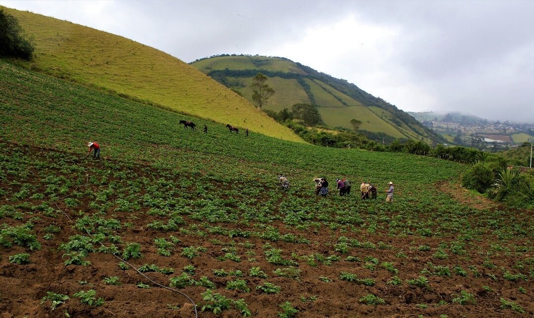 Campesinos nariñenses lograron venta de sus productos ante la UNGRD