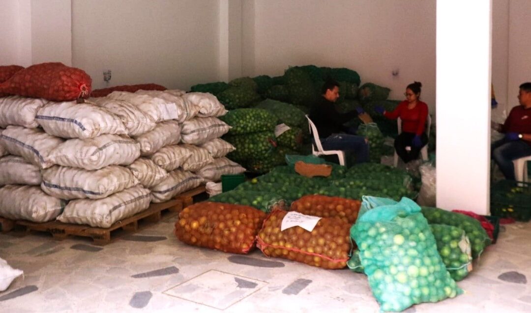 Concluye primera compra institucional a productores agrícolas de Nariño