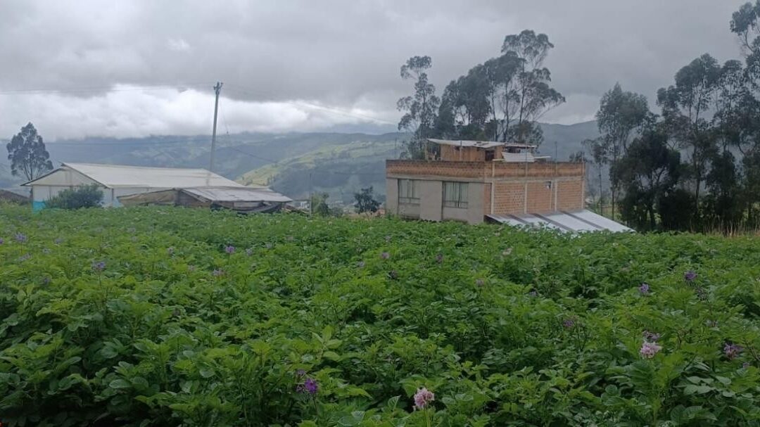 Piden a agricultores implementar acciones de gestión de riesgo frente a temporada de lluvias