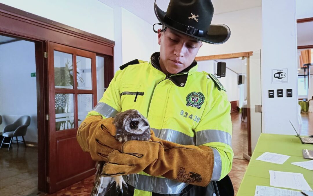 Primer Curso de Fauna Silvestre, Realizado por la Gobernación de Nariño y Corponariño