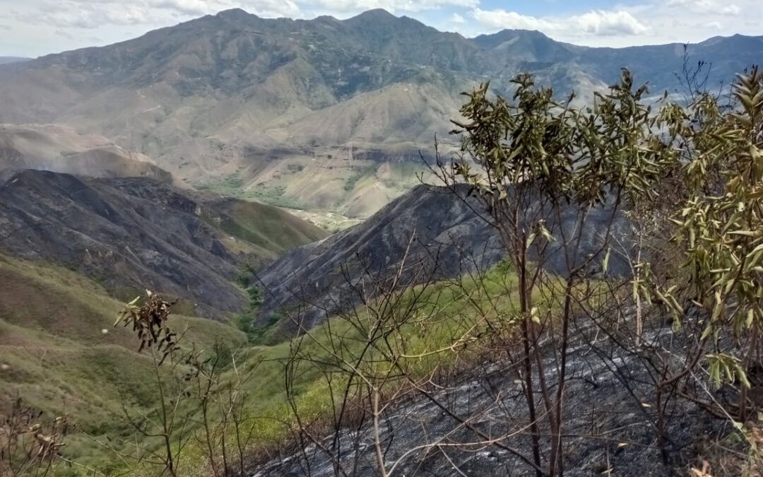 Incendio de Cobertura Vegetal, en el municipio de Buesaco -Nariño