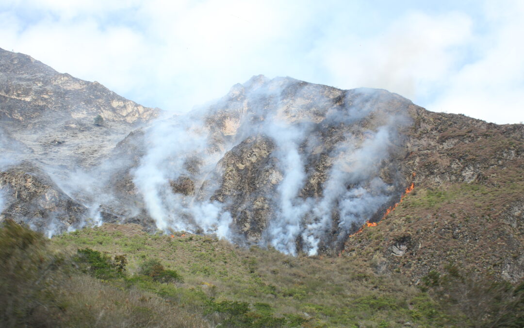 En Nariño 2.800 hectáreas de vegetación se han afectado por incendios de cobertura vegetal