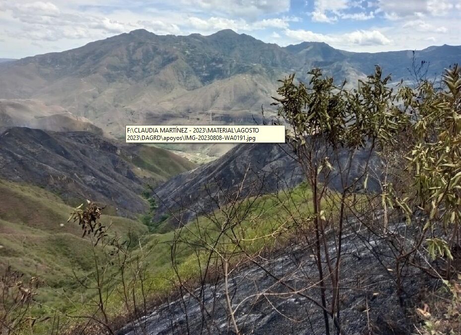 1.095 hectáreas de cobertura vegetal afectadas por incendios