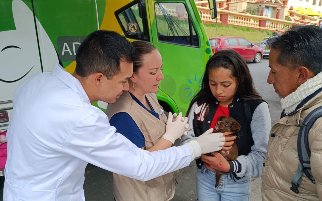 Se cumplió en la ciudad de Pasto, el lanzamiento de la Semana de Bienestar Animal